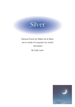 Silver Front Cover